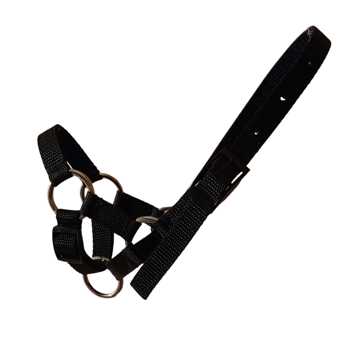 Kantar wzór gładki - obrazek 7