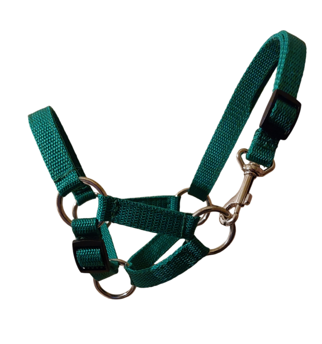 Kantar wzór gładki - obrazek 3