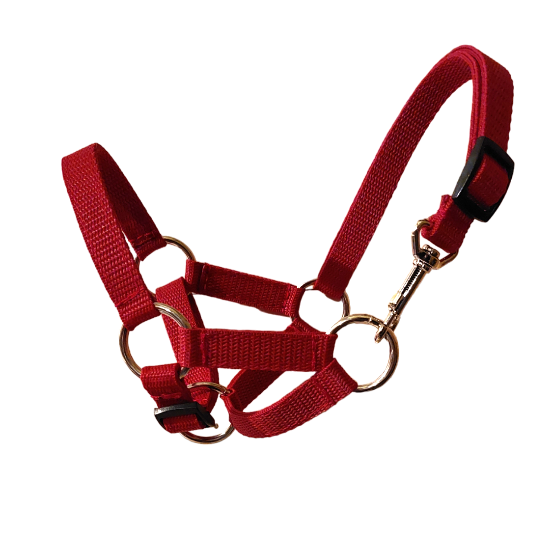 Kantar wzór gładki