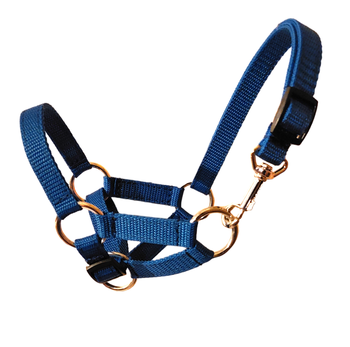 Kantar wzór gładki - obrazek 2