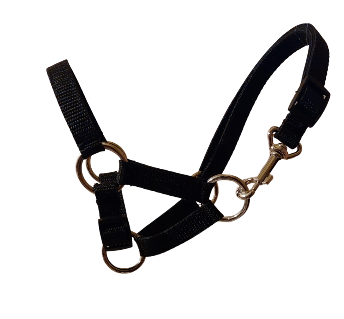 Kantar wzór gładki - obrazek 4