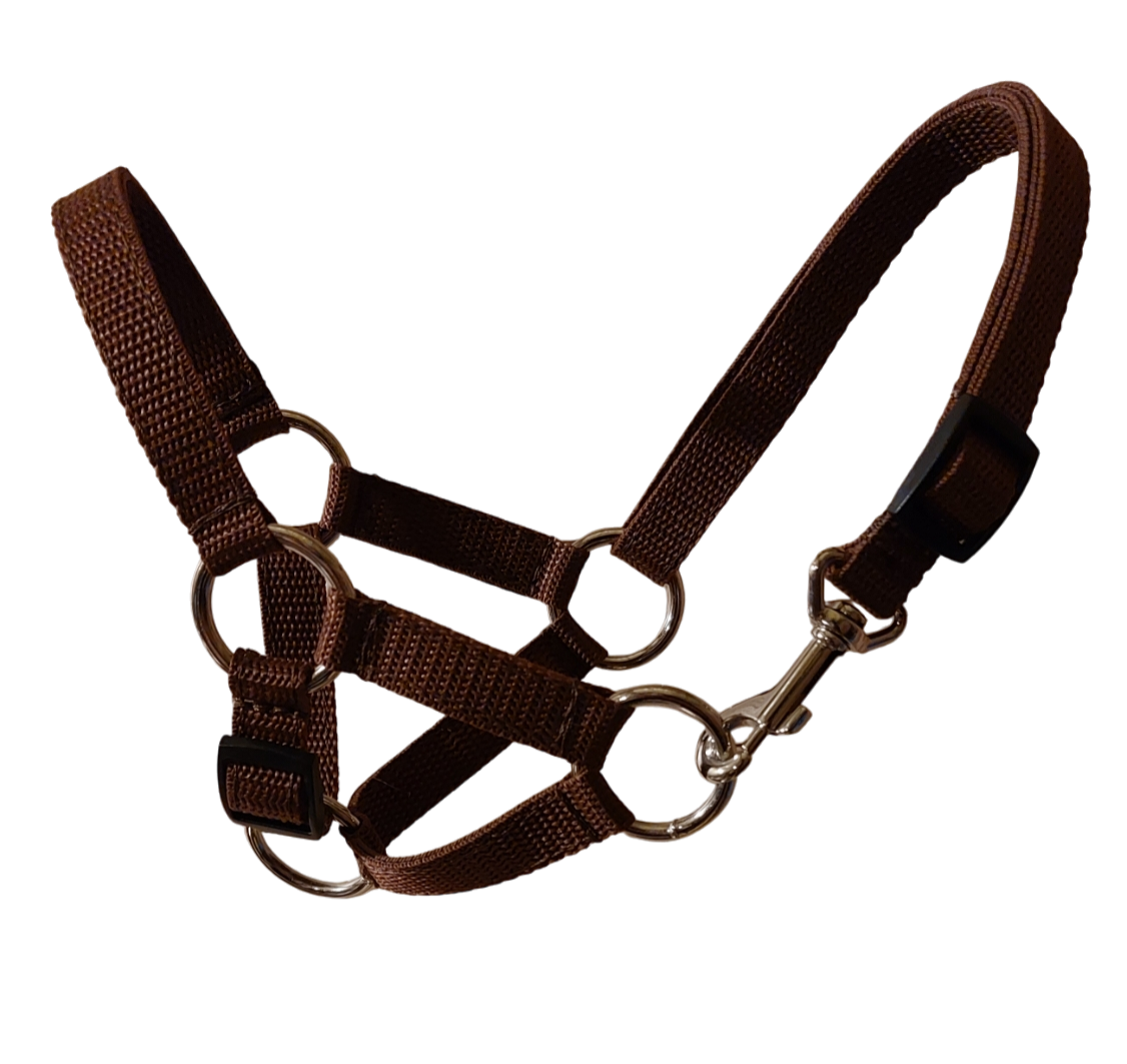 Kantar wzór gładki - obrazek 5